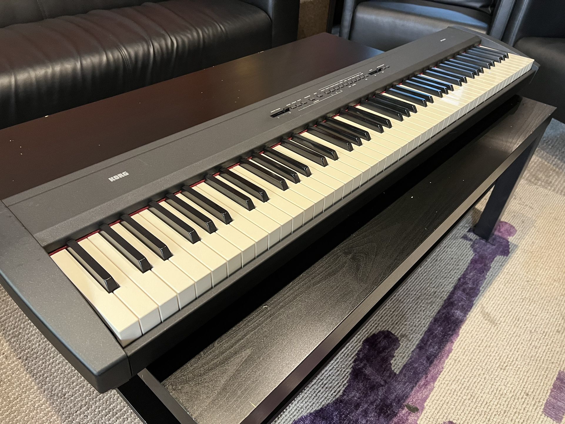 KORG SP-200 Digital 88 Key Piano w Gigbag & Yorkville 100 KB 100 Watt Amp