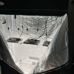 3 X 5 Grow Setup With Mars Hydro LEDs