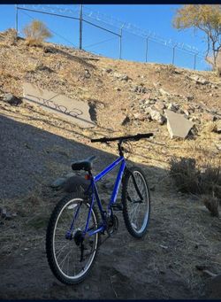 Kent Mountain Bike