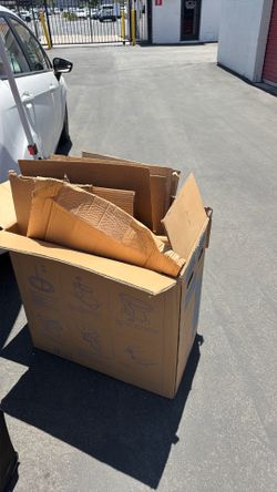 Cardboard