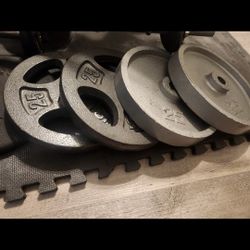 25s Standard Weights Home Gym $40 Pair
