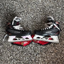 Hockey Goalie Skates 