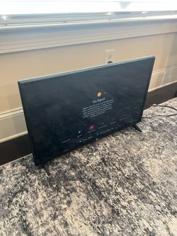 29” LG TV (No Remote)