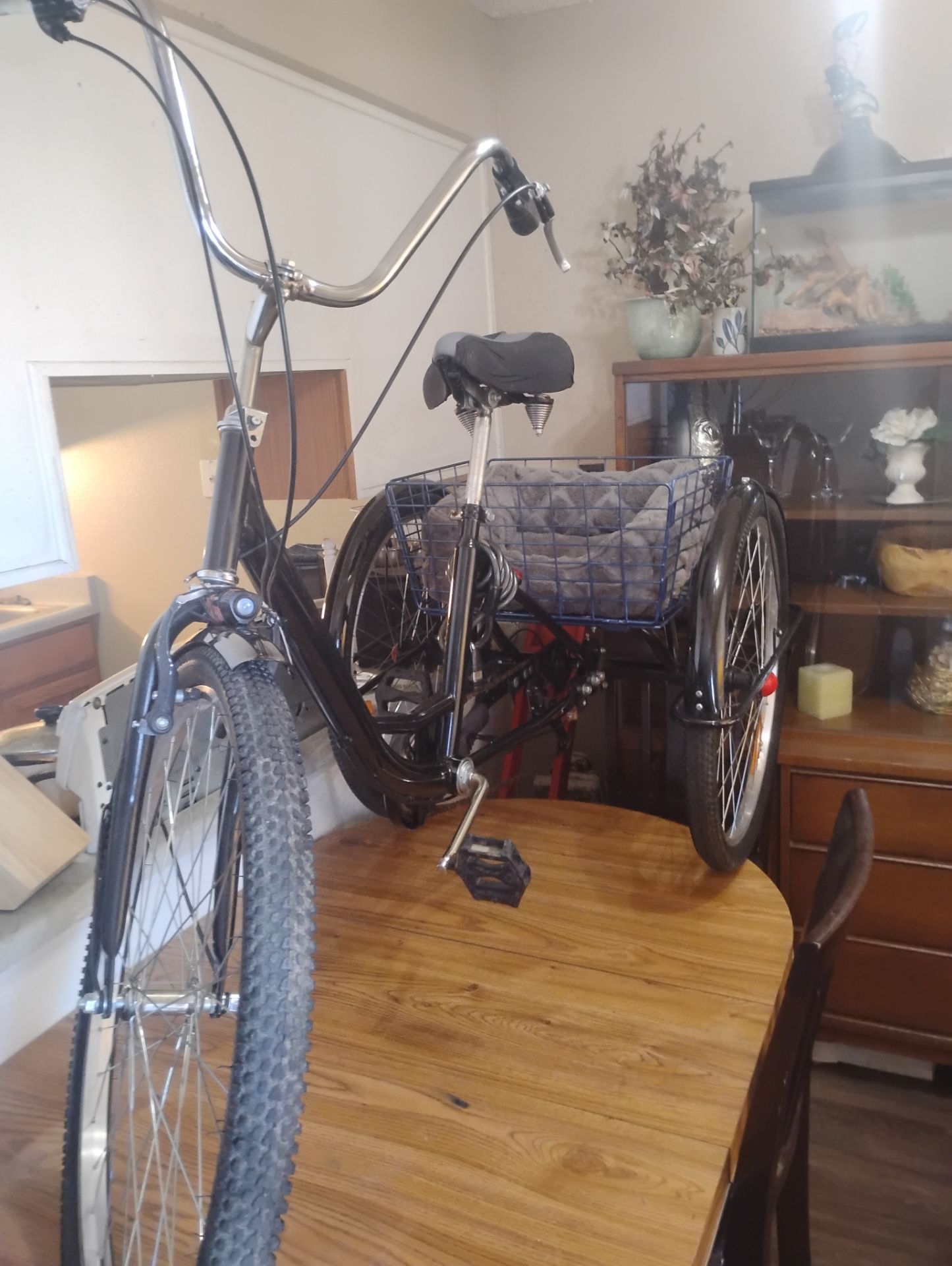 Three-wheeler bike