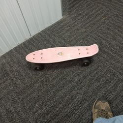 Skate Board