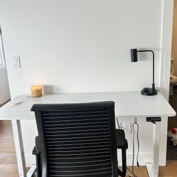 Wayfair Standing Desk