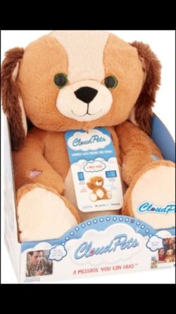 Cloud pet serious buyers only! Pick up only