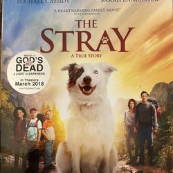 THE STRAY (Blu-ray + DVD) NEW 