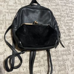 black purse/backpack 