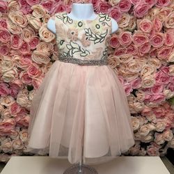 Little Girls Short Blush Pink Tulle Dress 