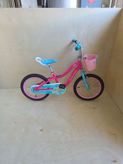 16 inch Schwinn