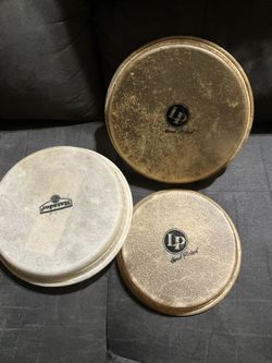 Bongo Heads For Sale
