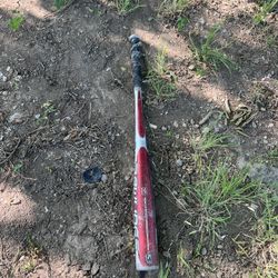 Bat