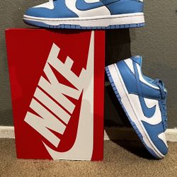 Nike Dunk low UNC 