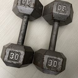 30lb Dumbbells 