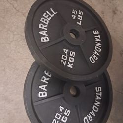 45 Pound Plates