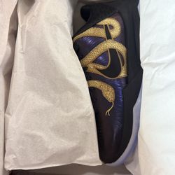 Kobe V Protro- Year Of The Mamba- Size 10