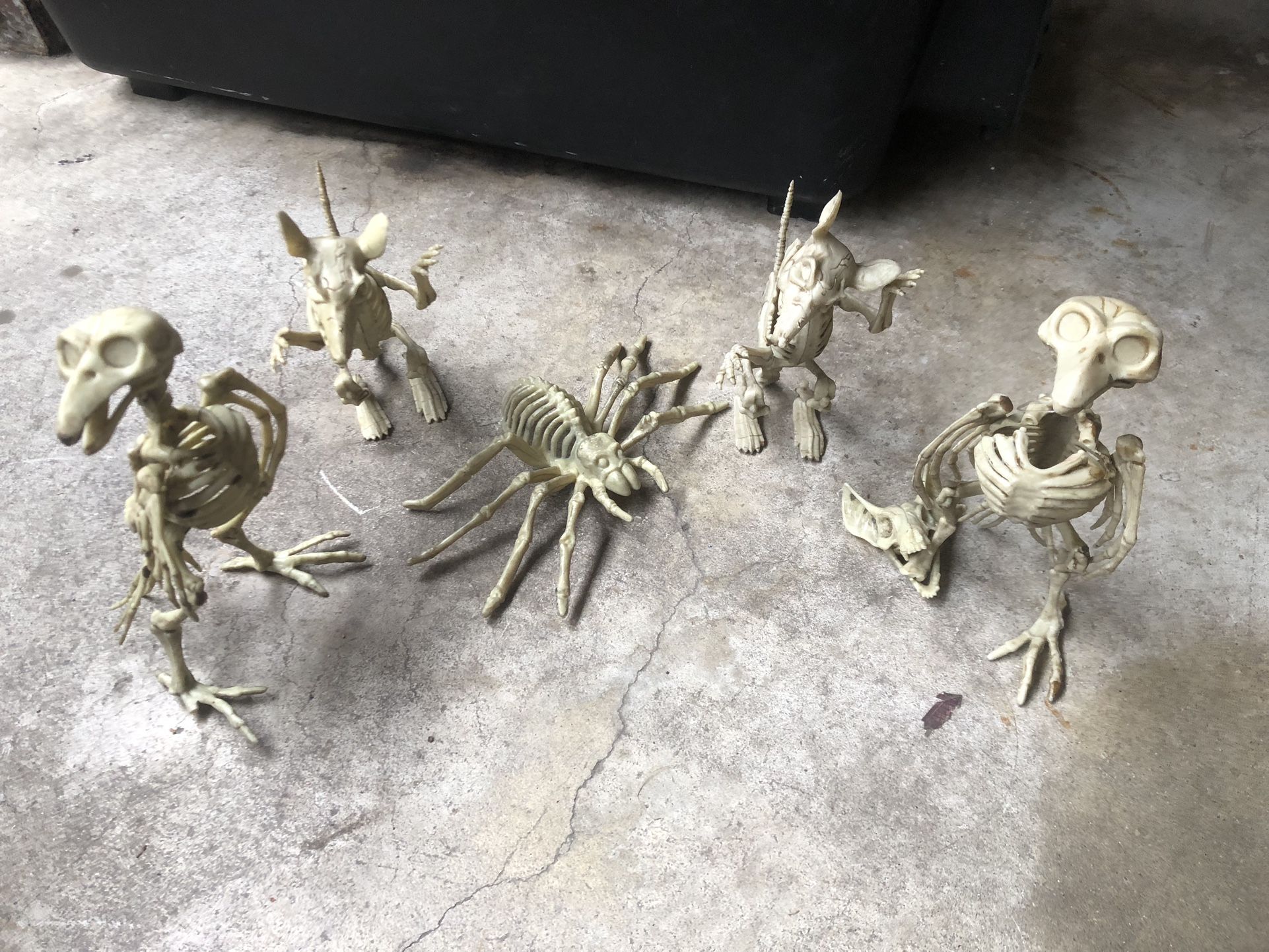 Halloween Skeleton Decorations Mouse Spider Crow