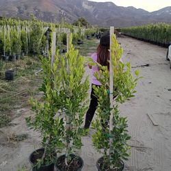 Mensaje Al (contact info removed)