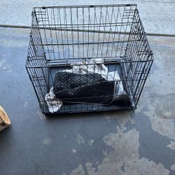 Used Small Dog Crate 