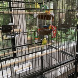 Large parakeet, cage, and all accessories