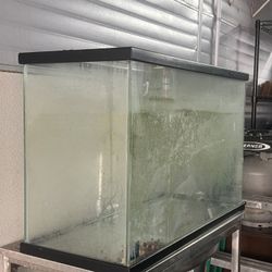 Fish tank