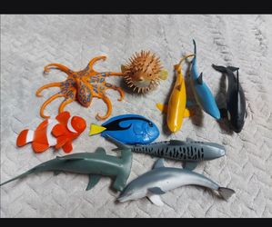 Sea animals