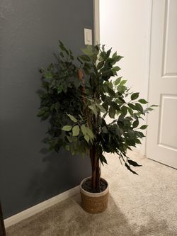 Decorative Green Tree