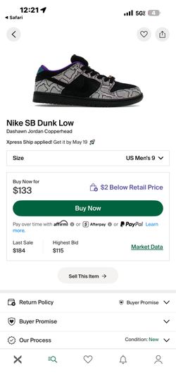 Nike SB dunks copperheads
