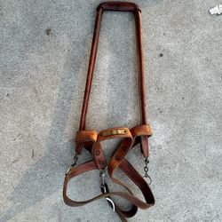 Leather harness for the Dog of  the blind. 