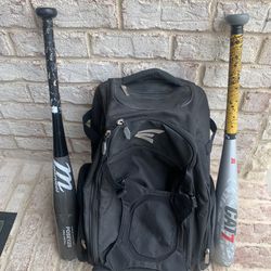 2 Baseball Bats With Bag