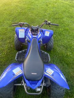 vitacci pentora 250