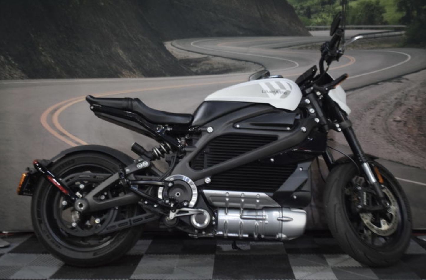 2020 Harley-Davidson® ELW LIVEWIRE