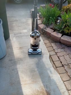 Shark Vacuum