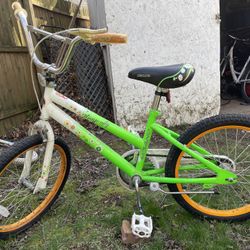 Dragonfly Kids Bike