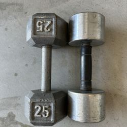 25lb Dumbbells Set