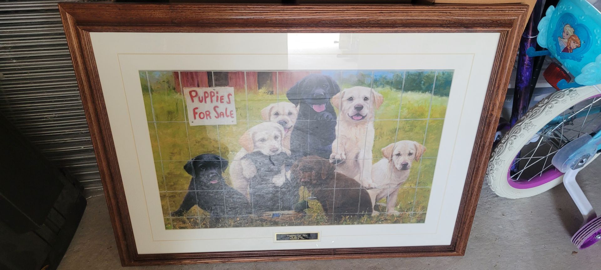 Frame, Puppies for sale. 24 x 32
