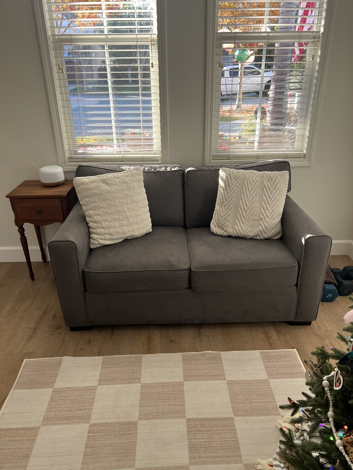 Loveseat Washable Cushions 