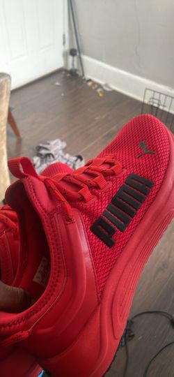 New Pumas