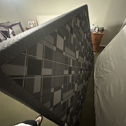 Bed And Box Frame Queen 