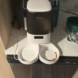 automatic feeder - two bowls