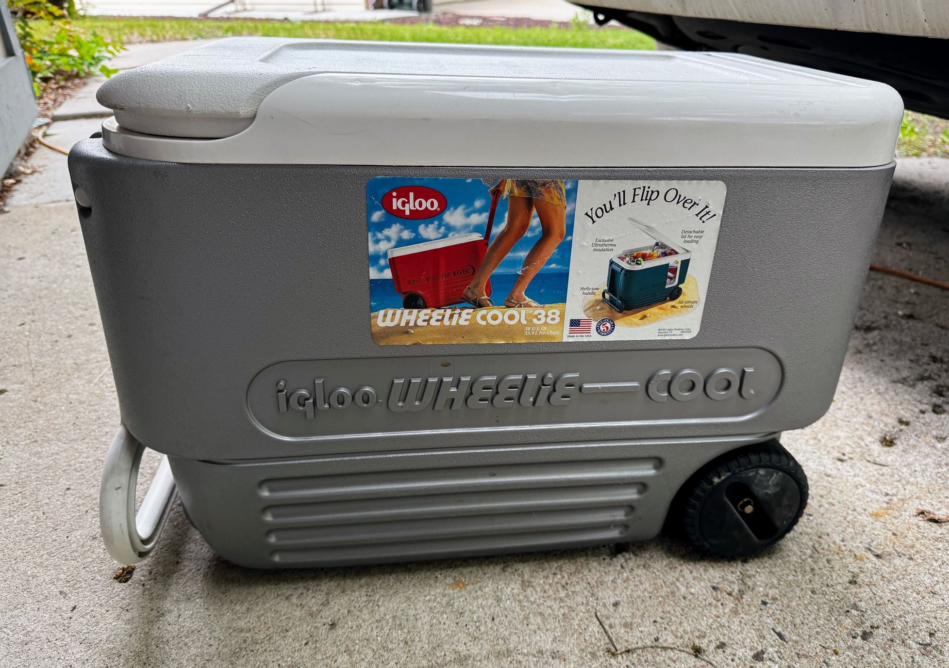 Igloo Cooler