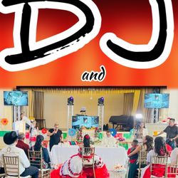 DJ PROFESSIONAL