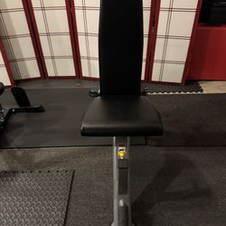 Gym Equipment -  HOIST Fitness 7 Position F.I.D. Bench