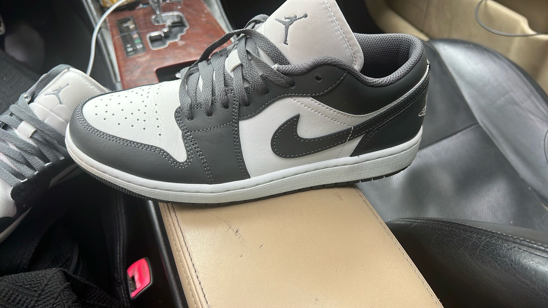 Dunk Lows