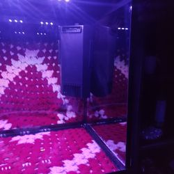 Brand New Fish Tank