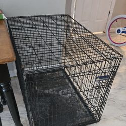 Dog Kennel 