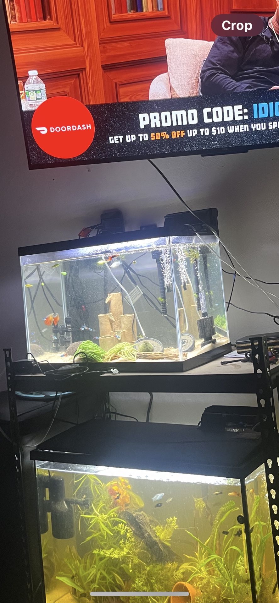 Fish/reptile Tank