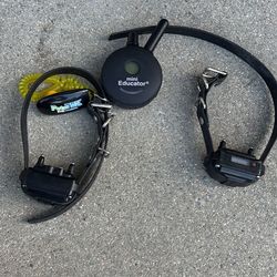 Mini Educator collars with clicker
