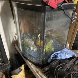 30 gallon fish tank round front